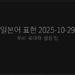 일본어 표현 2025-10-29