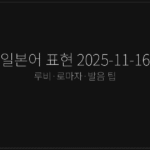 일본어 표현 2025-11-16