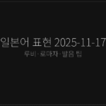 일본어 표현 2025-11-17