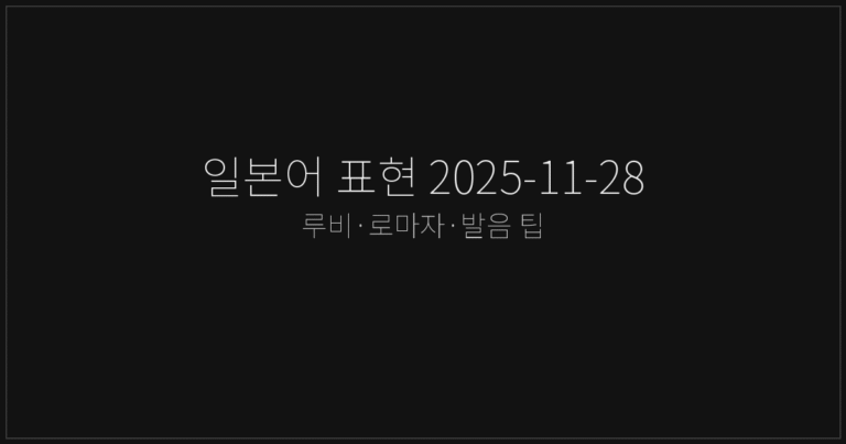 일본어 표현 2025-11-28