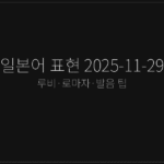 일본어 표현 2025-11-29