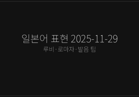 일본어 표현 2025-11-29
