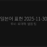 일본어 표현 2025-11-30